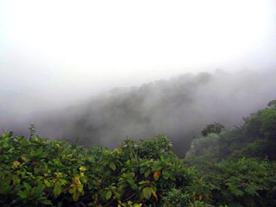 Thirsty Forests | Monteverde | Costa Rica