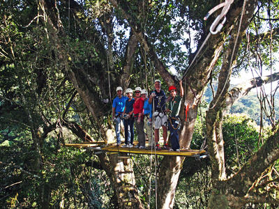 Original Canopy Tour | Canopy Tours Monteverde ...