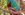 Monteverde Costa Rica and the Famous Quetzals