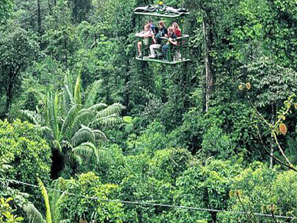 Rain Forest Aerial Tram | San Jose Costa Rica