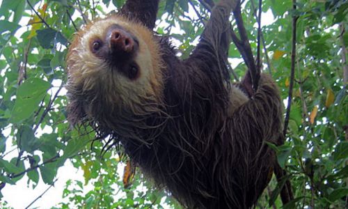 Monteverde Costa Rica Information