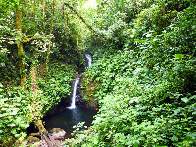 Monteverde Cloud Forest Reserve | Monteverde Costa Rica